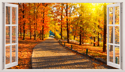 Wandtattoos: Park im Herbst
