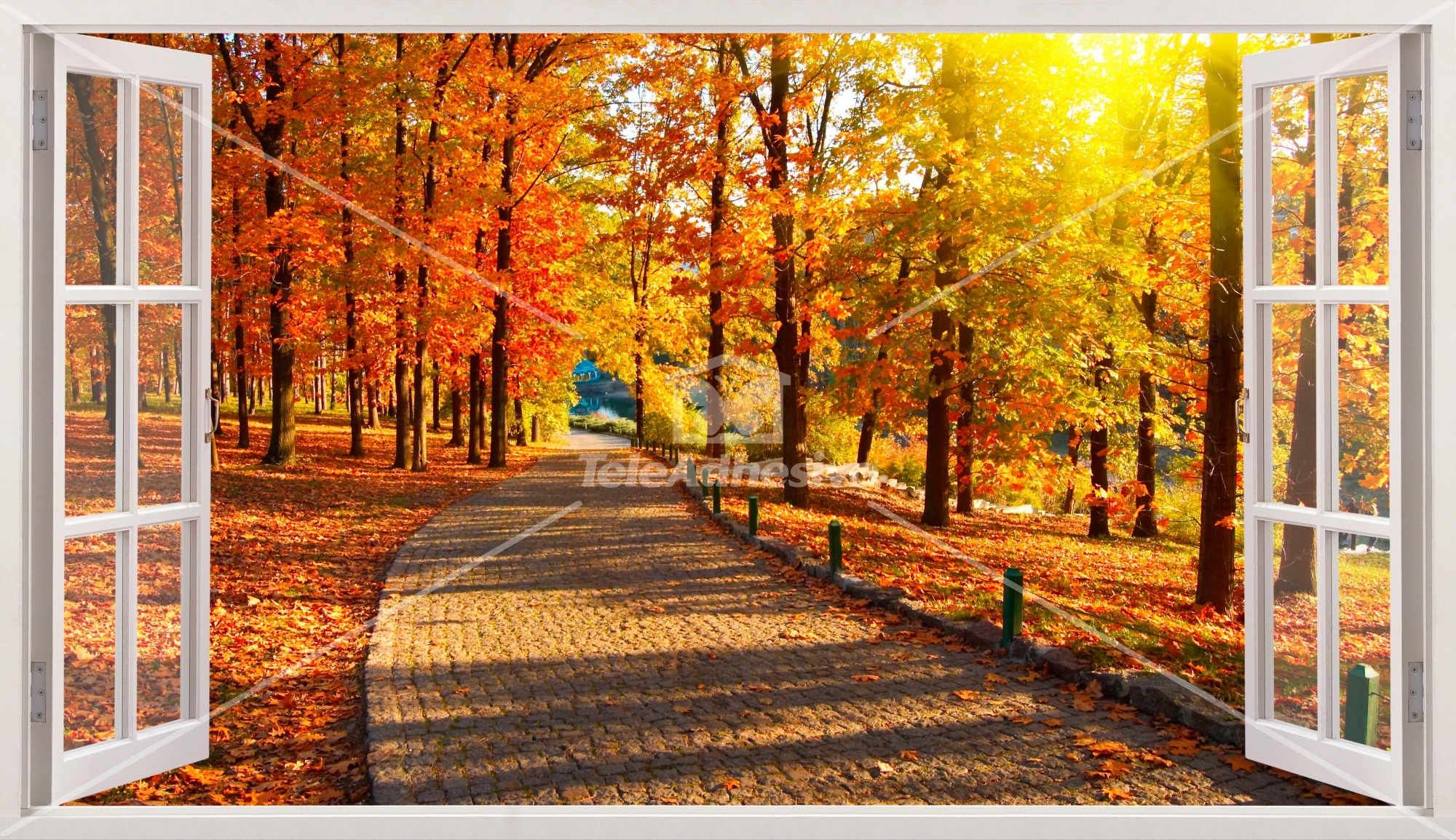 Wandtattoos: Park im Herbst