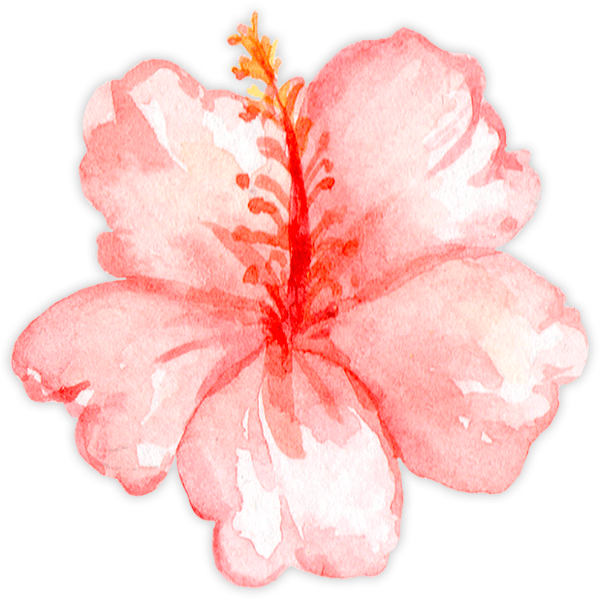 Kinderzimmer Wandtattoo: Aquarell Hibiskus