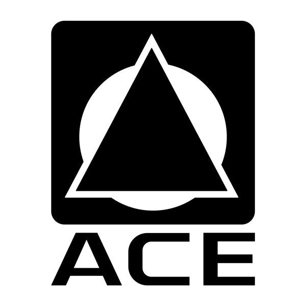 Wohnmobil aufkleber: Wohnmobil-Aufkleber Logo ACE