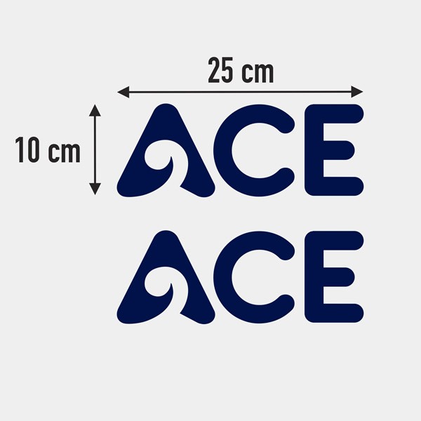 Wohnmobil aufkleber: ACE Vinyl-Aufkleber 25x10 cm