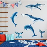 Kinderzimmer Wandtattoo: Wale und Delfine 3