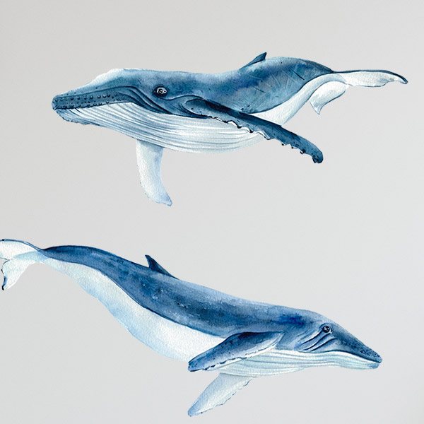 Kinderzimmer Wandtattoo: Wale und Delfine