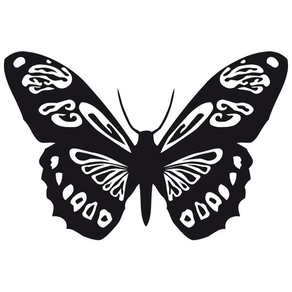 Wandtattoos: Schmetterling Colias Vauthieri