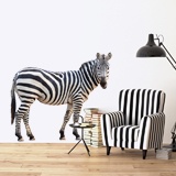 Wandtattoos: Zebra wachsam 3