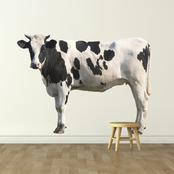 Wandtattoos: Holstein-Kuh