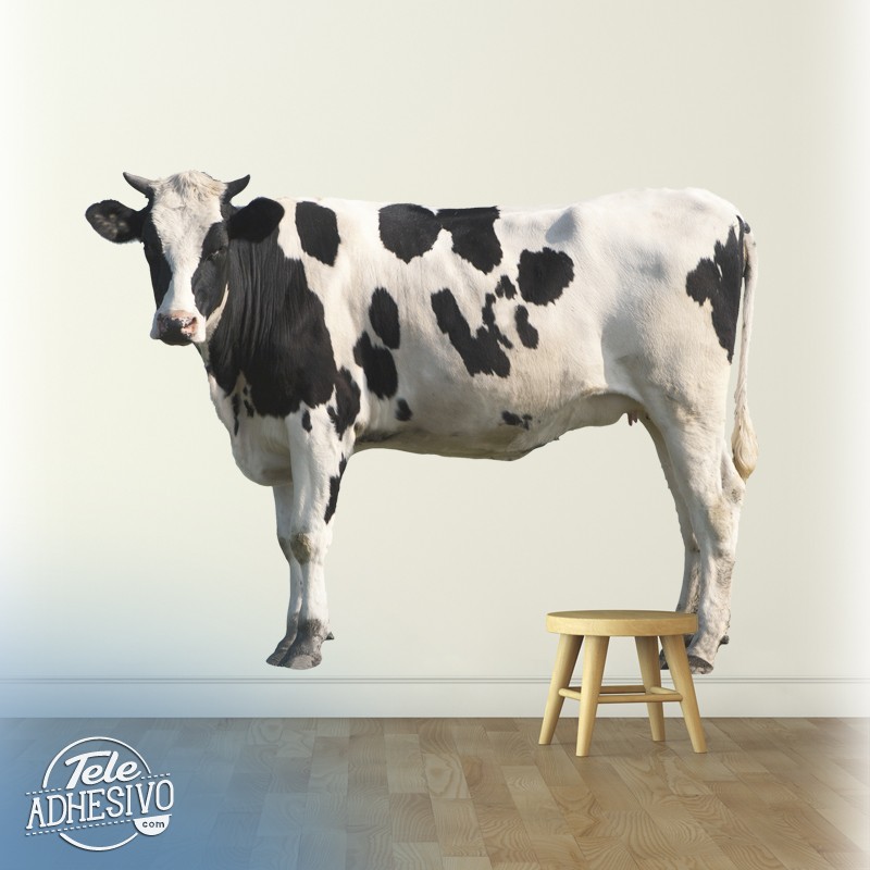 Wandtattoos: Holstein-Kuh