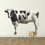 Wandtattoos: Holstein-Kuh 3