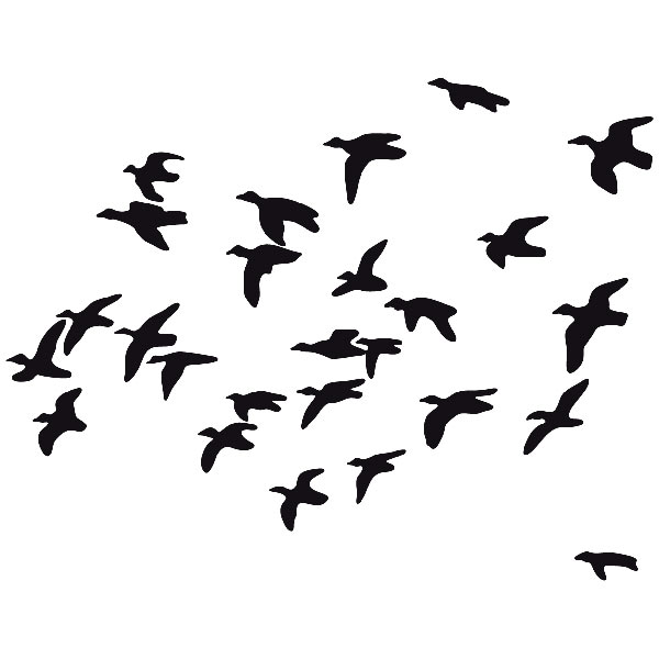 Wandtattoos: Herde Vögel