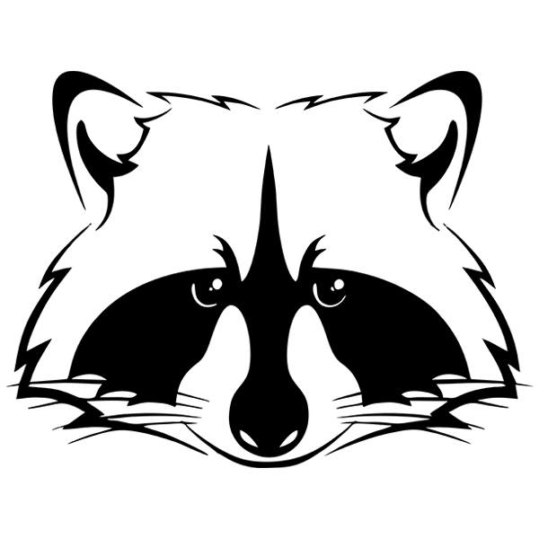 Aufkleber: Waschbär-Procyon