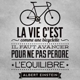 Wandtattoos: La vie c'est comme une bicyclette 3