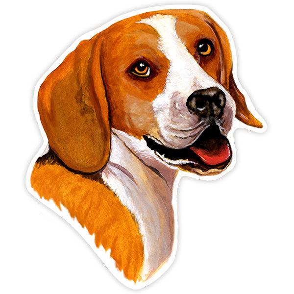 Aufkleber: Beagle