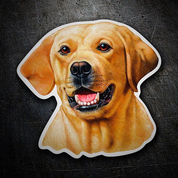 Aufkleber: Labrador Retriever gelb