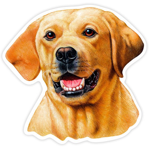 Aufkleber: Gelber Labrador Retriever