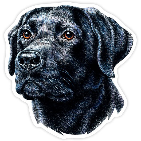 Aufkleber: Labrador Retriever schwarz