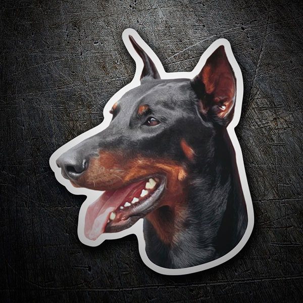 Aufkleber: Dobermann