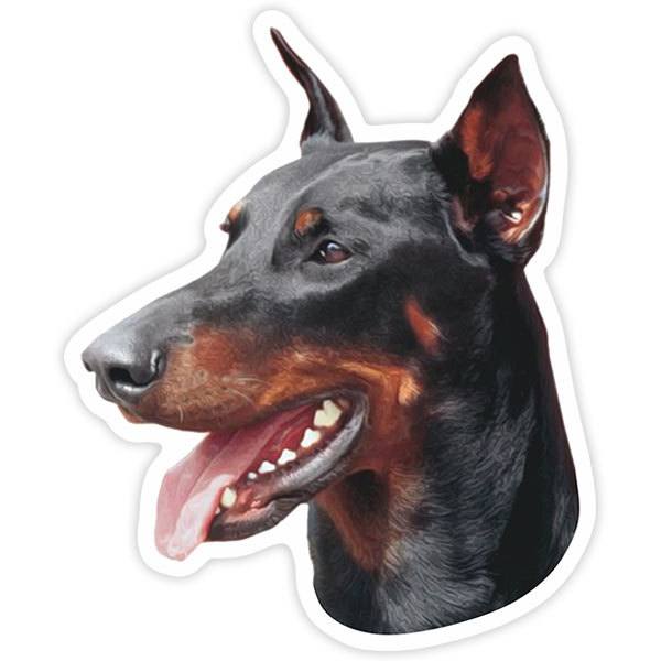 Aufkleber: Doberman Pinscher