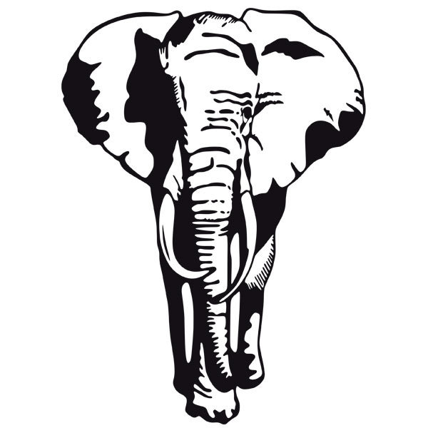 Wandtattoos: Elefant