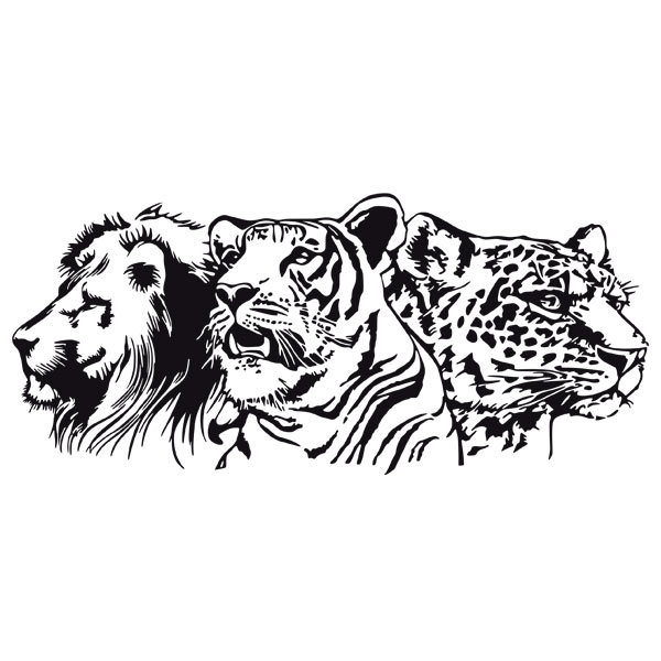 Wandtattoos: Löwe, Tiger und Leopard