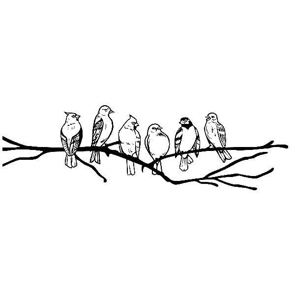 Wandtattoos: Vögel auf einem Ast