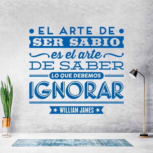 Wandtattoos: El arte de ser sabio - William James