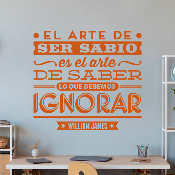 Wandtattoos: El arte de ser sabio - William James