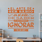 Wandtattoos: El arte de ser sabio - William James 2