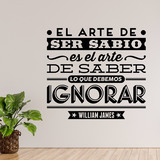 Wandtattoos: El arte de ser sabio - William James 3