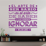 Wandtattoos: El arte de ser sabio - William James 4