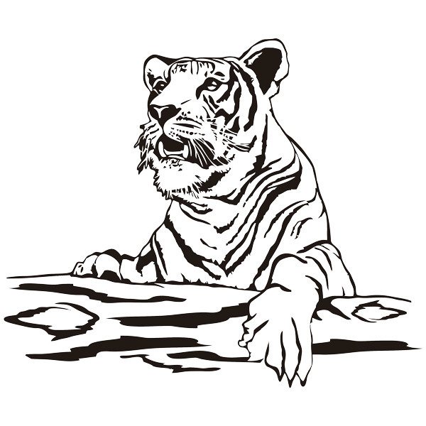 Wandtattoos: Tiger auf einem Stamm