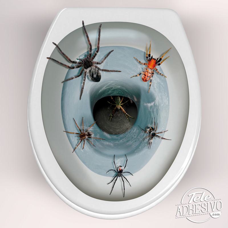 Wandtattoos: Spinnen kommen aus der Toilettenschüssel 