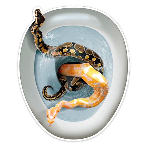 Wandtattoos: Schlangen kommen aus der Schüssel