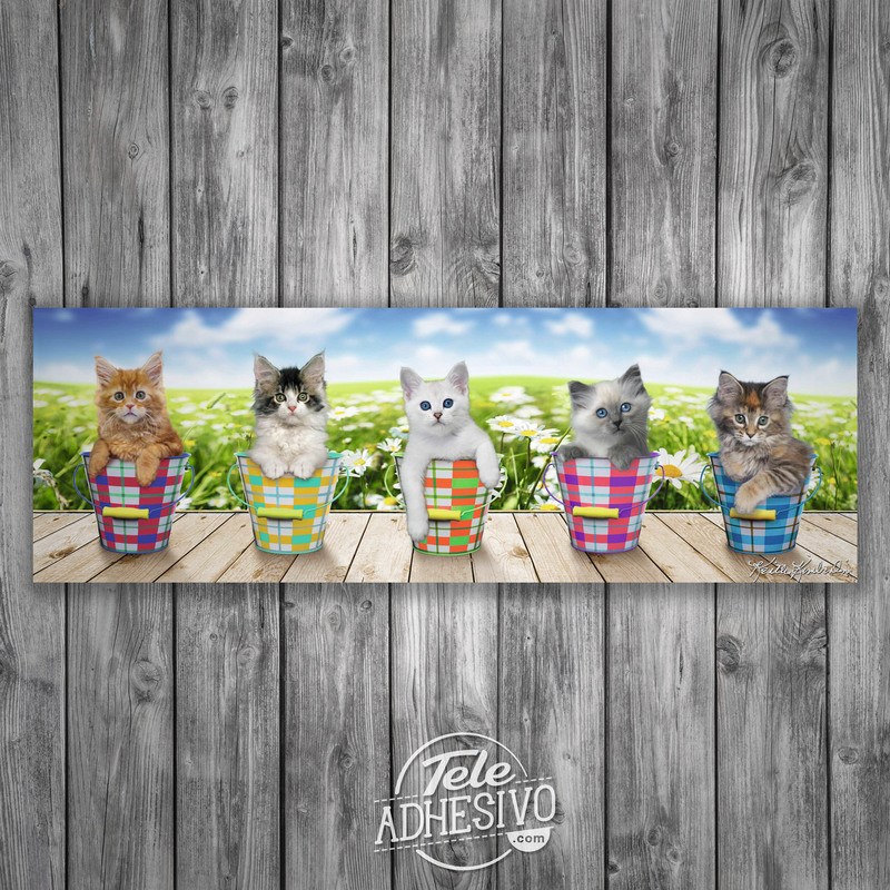 Wandtattoos: Klebendes Poster von 5 Kätzchen