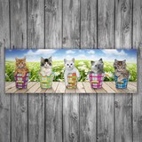 Wandtattoos: Klebendes Poster von 5 Kätzchen 3