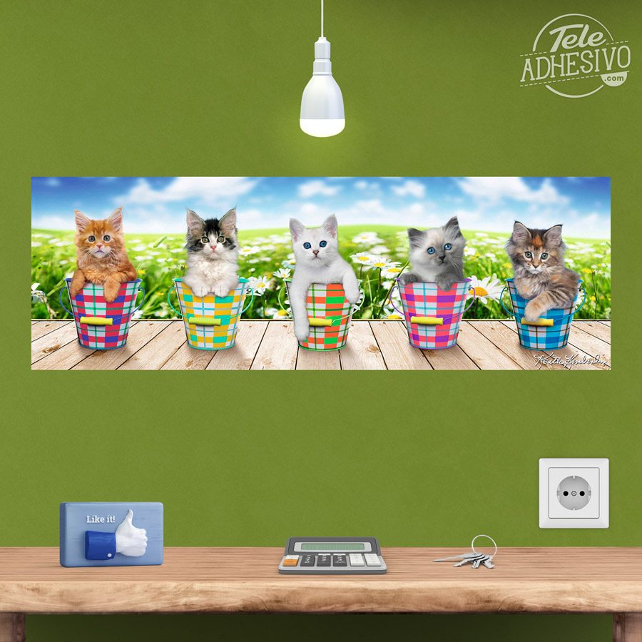 Wandtattoos: Klebendes Poster von 5 Kätzchen