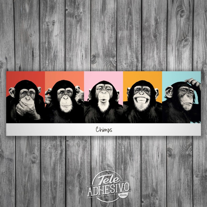 Wandtattoos: klebendes Poster von 5 Chimpanzees