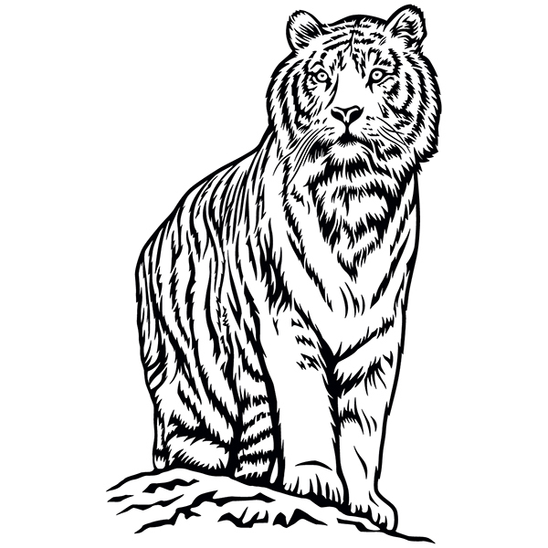 Wandtattoos: Bengalischer Tiger