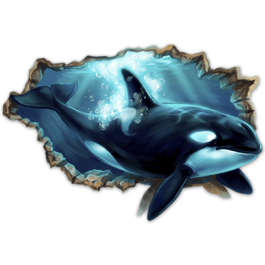 Wandtattoos: Riesige Orca Wanddurchbruch