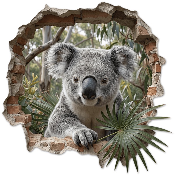 Wandtattoos: Wanddurchbruch Koala