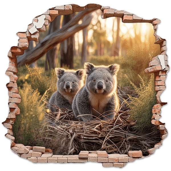 Wandtattoos: Wanddurchbruch Koalas Wald