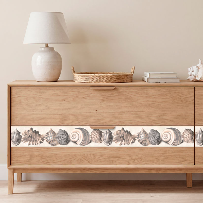 Muscheln 11