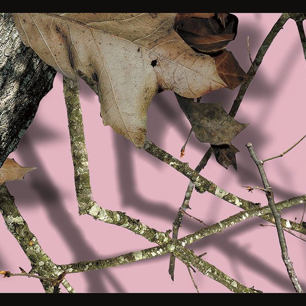 Wandtattoos: Zweige auf rosa Hintergrund