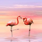 Wandtattoos: Flamingos bei Sonnenuntergang 3