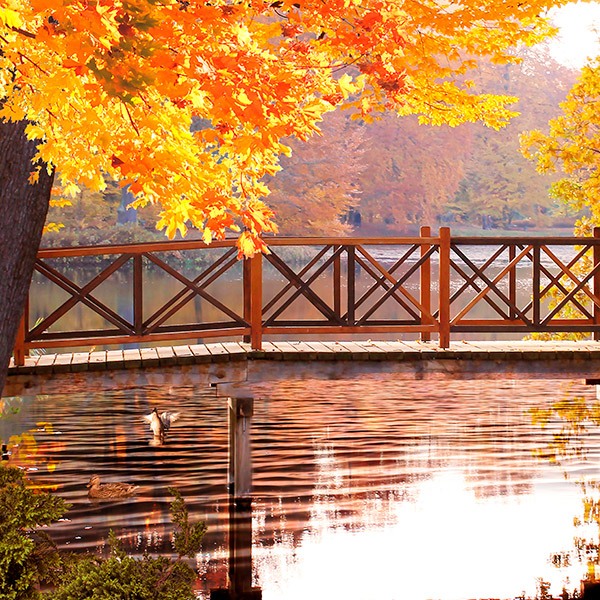 Wandtattoos: Herbst-Park