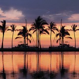 Wandtattoos: Palmen bei Sonnenuntergang 3