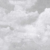Wandtattoos: Sturmwolken 3