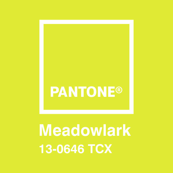 Wandtattoos: Pantone Meadowlark