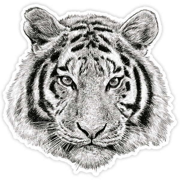 Aufkleber: Weißer Tigerkopf