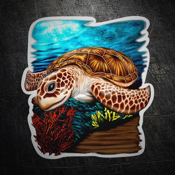 Aufkleber: Meeresschildkröte Farbe