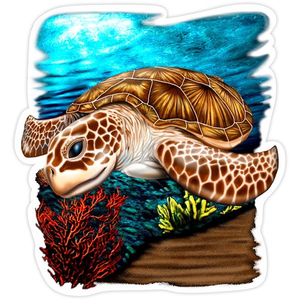 Aufkleber: Meeresschildkröte Farbe
